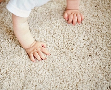 Carpet samples in showroom