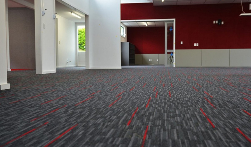 Solution dyed nylon carpet in a bedroom