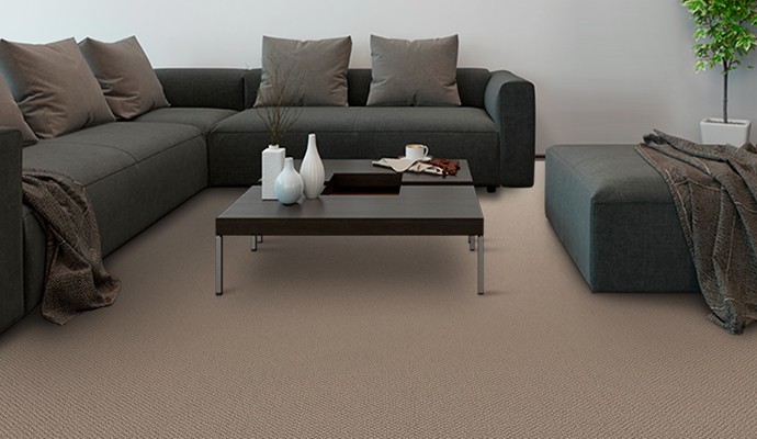 Polypropylene carpet in a living room